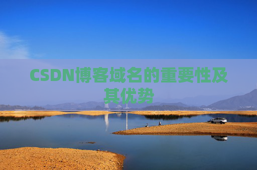 CSDN博客域名的重要性及其优势